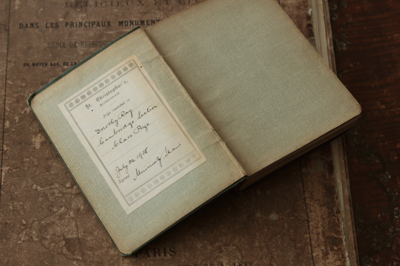 アンティークブック 古書 植物図鑑 樹木 イギリス 20191017 アンティークブック 古書 植物図鑑 樹木 イギリス 20191017