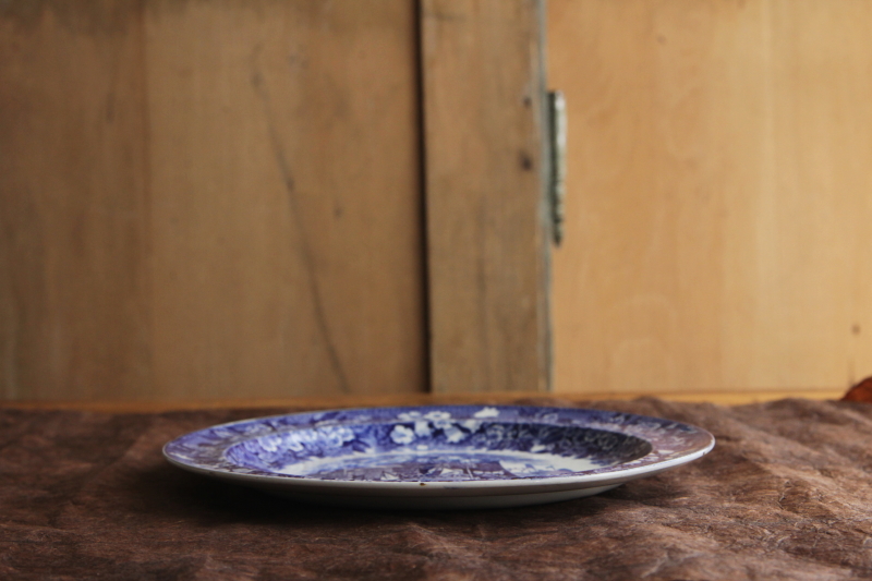アンティークウエッジウッド　WEDGWOOD ディナープレート　フェラーラ　ferrara イギリス