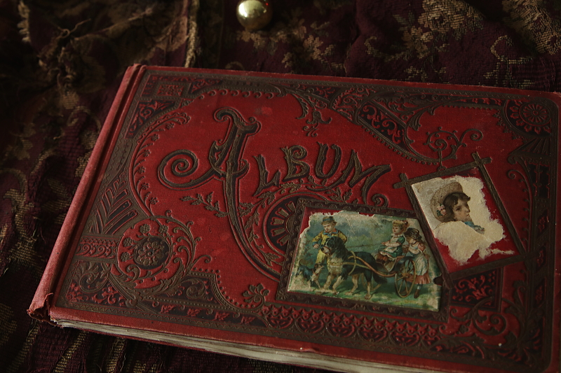 ヴィクトリアン　クロモスアルバム　イギリス アンティークストリュフ