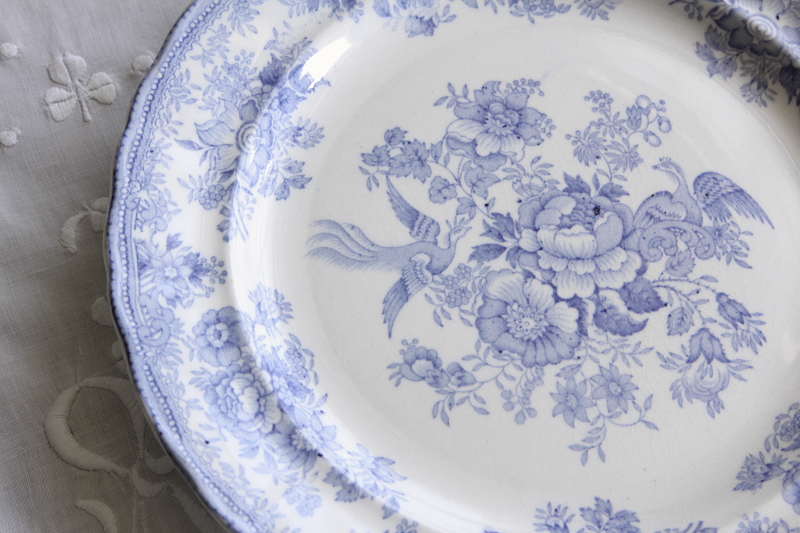 アンティークブルーアンドホワイトディナープレート doulton ドルトン アジアティックフェザンツ イギリス