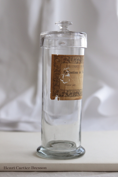 アンティーク標本瓶　ガラスジャー　ブロカント　モンペリエ農業学校　フランス