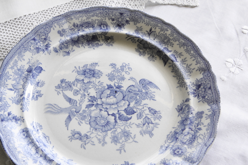 アンティークブルーアンドホワイトディナープレート doulton ドルトン アジアティックフェザンツ イギリス