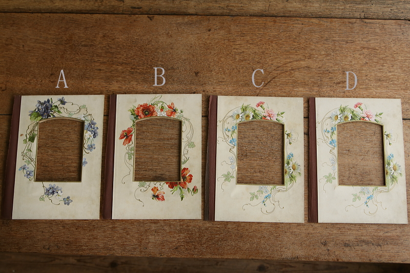 ヴィクトリアンのアルバムページ　ボタニカルアート　イギリス アンティークストリュフ