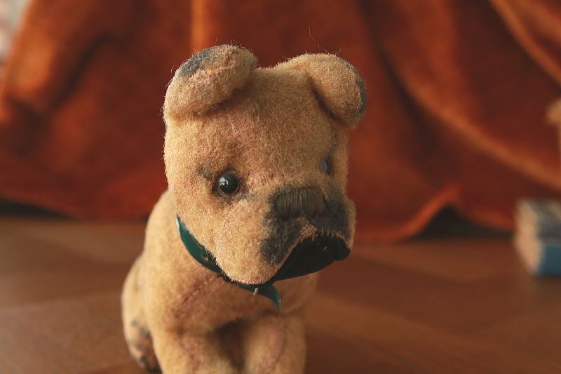 仔犬のボクサー　ぬいぐるみ　ドイツ　アンティークストリュフ