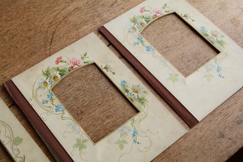 ヴィクトリアンのアルバムページ　ボタニカルアート　イギリス アンティークストリュフ