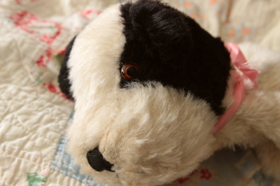 アンティークパジャマケース ぬいぐるみ イヌ イギリス 20200129