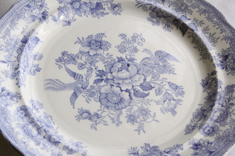 アンティークブルーアンドホワイトディナープレート doulton ドルトン アジアティックフェザンツ イギリス