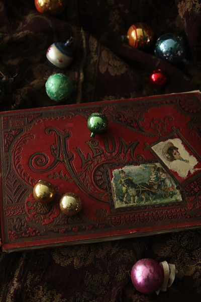 ヴィクトリアン　クロモスアルバム　イギリス アンティークストリュフ 20251204