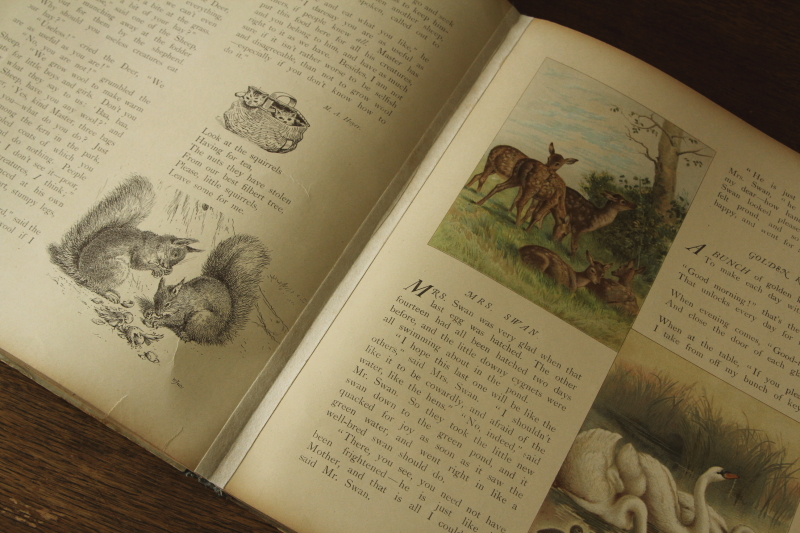 アンティークブックス 古書 児童書 絵本 little folks enquire within Ernest Nister イギリス
