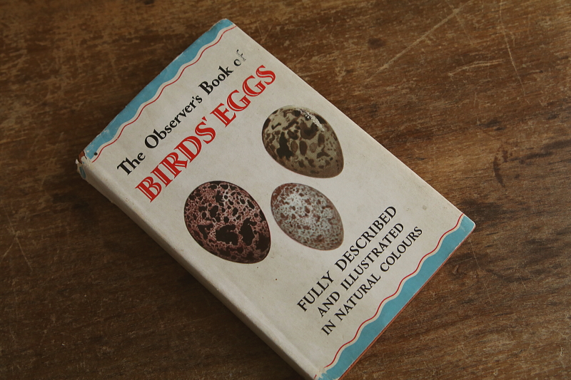 the observer's bookbirds' eggs mushroom toadstool 鳥の卵　キノコ　イギリス アンティークストリュフ