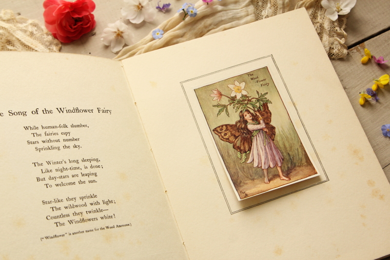 アンティークブック ボタニカルアート 妖精 cicely mary barker
