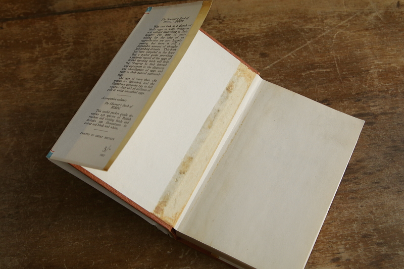 the observer's bookbirds' eggs mushroom toadstool 鳥の卵　キノコ　イギリス アンティークストリュフ