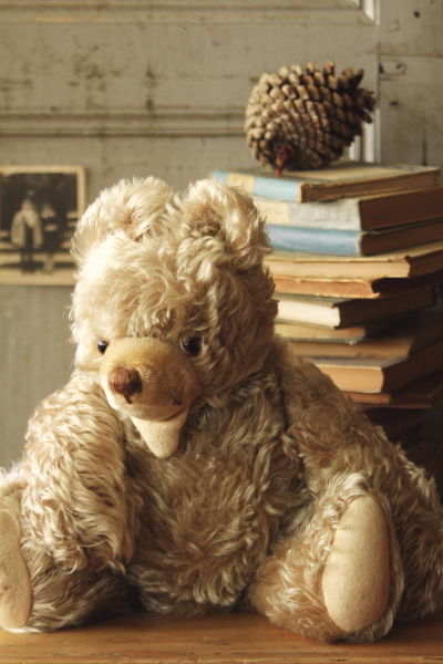 アンティークテディベア シュタイフ steiff ドイツ 20190919