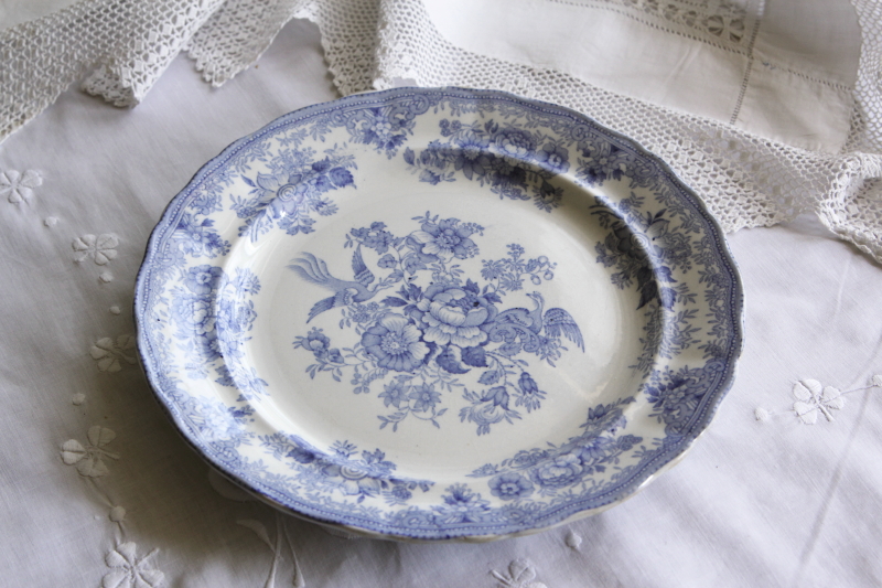 アンティークブルーアンドホワイトディナープレート doulton ドルトン アジアティックフェザンツ イギリス