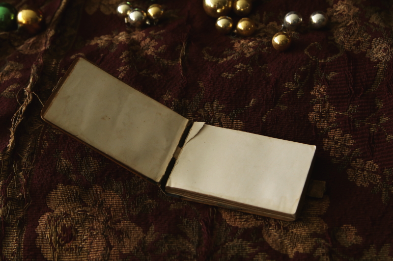 モシュリンヌのクリスマスメモ　イギリス アンティークストリュフ