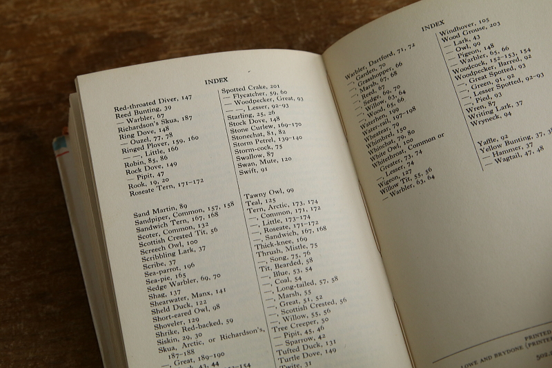 the observer's bookbirds' eggs mushroom toadstool 鳥の卵　キノコ　イギリス アンティークストリュフ