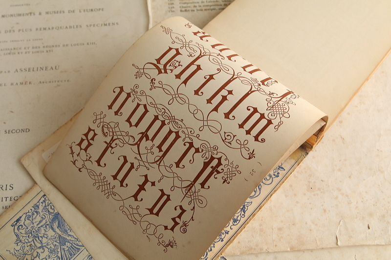 アルファベットの図案集　the book ornamental alphabets イギリス アンティークストリュフ