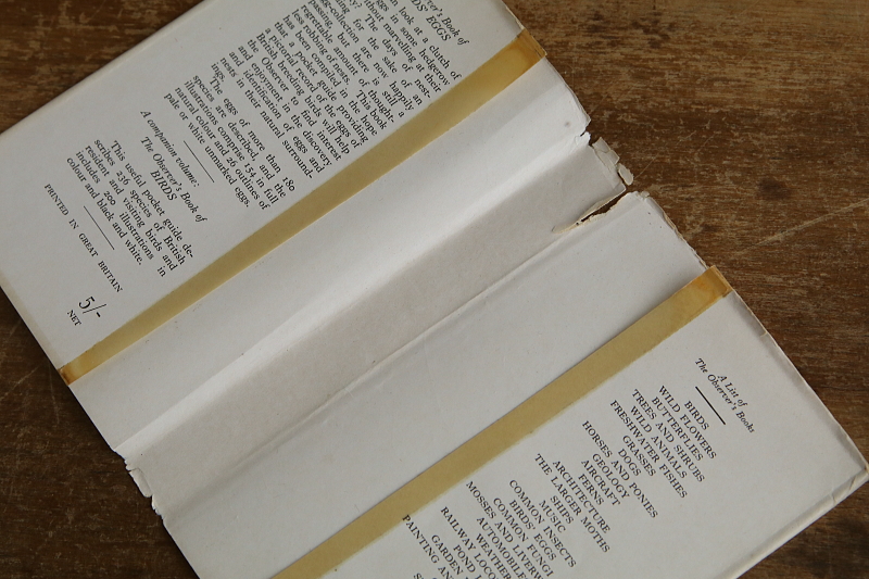 the observer's bookbirds' eggs mushroom toadstool 鳥の卵　キノコ　イギリス アンティークストリュフ