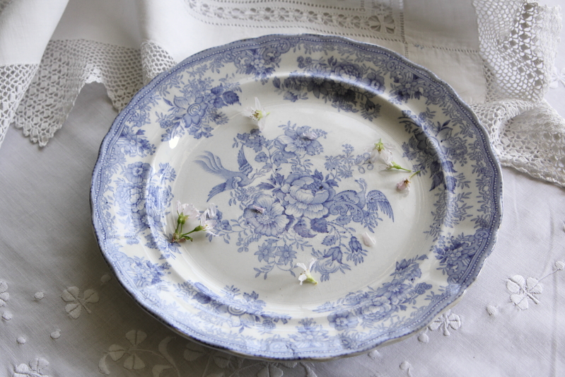 アンティークブルーアンドホワイトディナープレート doulton ドルトン アジアティックフェザンツ イギリス