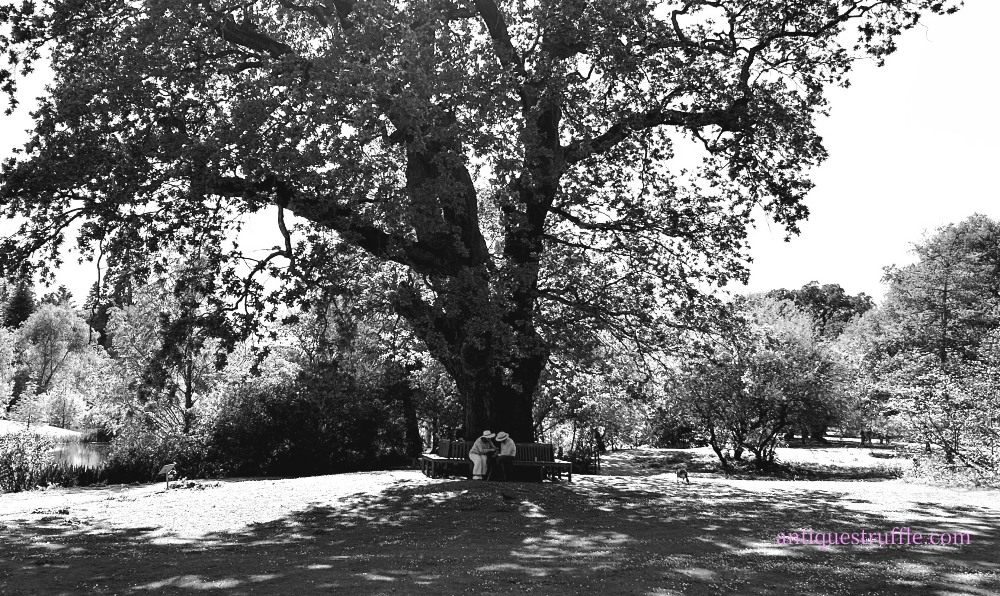 京都市左京区のアンティークショップ フランス・イギリスのジュエリー・家具・雑貨・ブロカントの販売 | 【Antiques Truffle】 アンティークス トリュフ 京都 鹿ケ谷